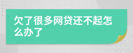欠了很多網(wǎng)貸還不起怎么辦了