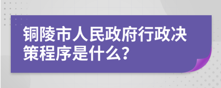 銅陵市人民政府行政決策程序是什么？