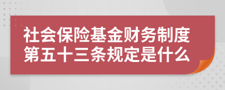 社會保險基金財務制度第五十三條規(guī)定是什么