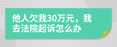 他人欠我30萬元，我去法院起訴怎么辦