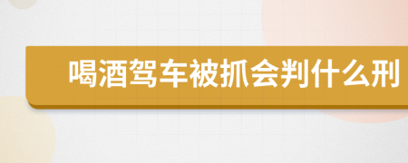 喝酒駕車被抓會判什么刑