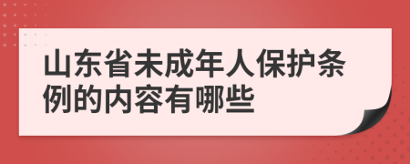 山東省未成年人保護(hù)條例的內(nèi)容有哪些