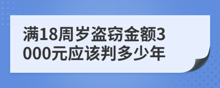 滿18周歲盜竊金額3000元應該判多少年