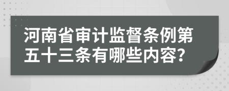 河南省審計(jì)監(jiān)督條例第五十三條有哪些內(nèi)容？