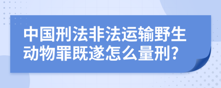 中國(guó)刑法非法運(yùn)輸野生動(dòng)物罪既遂怎么量刑?