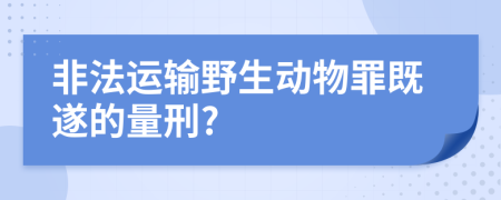 非法運(yùn)輸野生動物罪既遂的量刑?