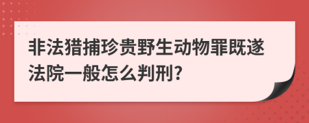 非法獵捕珍貴野生動物罪既遂法院一般怎么判刑?