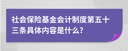 社會保險基金會計制度第五十三條具體內(nèi)容是什么?