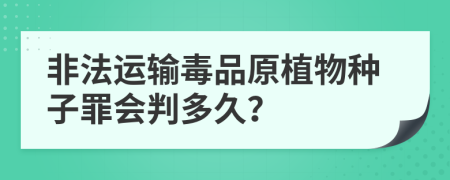 非法運(yùn)輸毒品原植物種子罪會(huì)判多久？