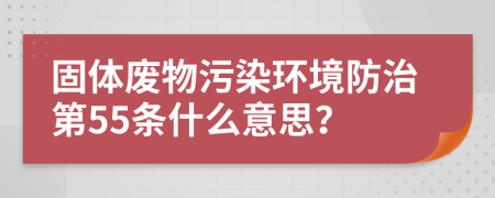 固體廢物污染環(huán)境防治第55條什么意思？