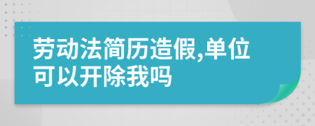 勞動法簡歷造假,單位可以開除我嗎
