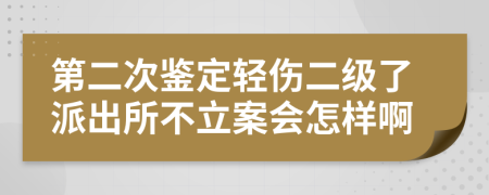 第二次鑒定輕傷二級了派出所不立案會怎樣啊