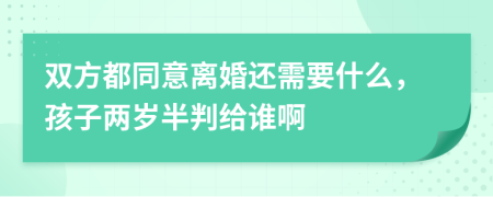 雙方都同意離婚還需要什么，孩子兩歲半判給誰啊
