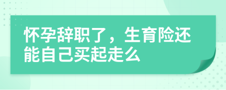 懷孕辭職了，生育險(xiǎn)還能自己買(mǎi)起走么