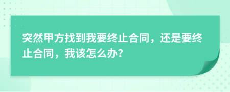突然甲方找到我要終止合同，還是要終止合同，我該怎么辦？