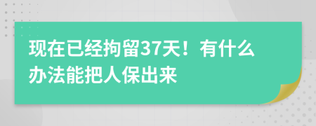 現在已經(jīng)拘留37天！有什么辦法能把人保出來(lái)