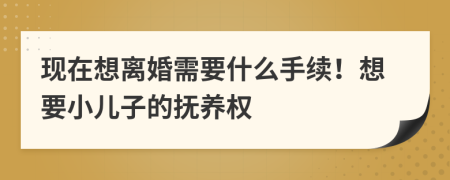 現(xiàn)在想離婚需要什么手續(xù)！想要小兒子的撫養(yǎng)權(quán)