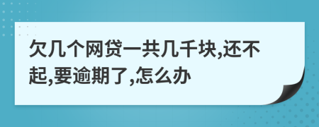 欠幾個網(wǎng)貸一共幾千塊,還不起,要逾期了,怎么辦