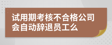 試用期考核不合格公司會自動(dòng)辭退員工么