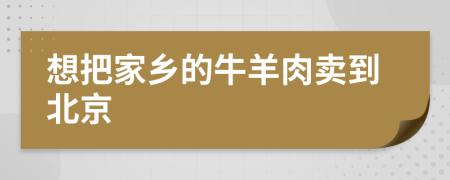 想把家鄉(xiāng)的牛羊肉賣到北京
