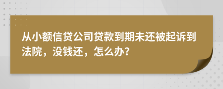 從小額信貸公司貸款到期未還被起訴到法院，沒錢還，怎么辦？
