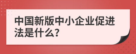中國(guó)新版中小企業(yè)促進(jìn)法是什么？