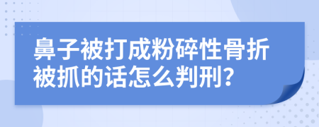 鼻子被打成粉碎性骨折被抓的話怎么判刑？