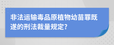 非法運(yùn)輸毒品原植物幼苗罪既遂的刑法裁量規(guī)定?