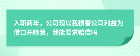 入職兩年，公司現(xiàn)以我損害公司利益為借口開(kāi)除我，我能要求賠償嗎