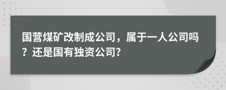 國營煤礦改制成公司，屬于一人公司嗎？還是國有獨資公司？