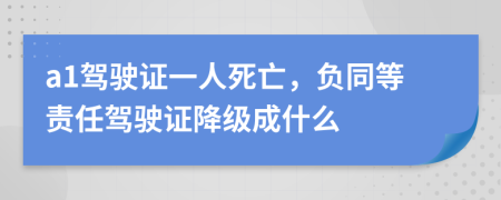 a1駕駛證一人死亡，負(fù)同等責(zé)任駕駛證降級成什么