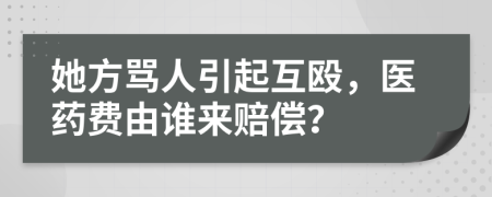 她方罵人引起互毆，醫(yī)藥費(fèi)由誰來賠償？