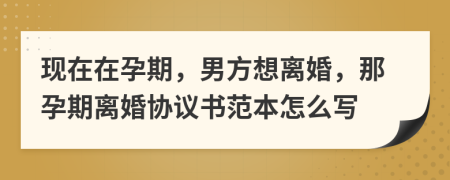 現(xiàn)在在孕期，男方想離婚，那孕期離婚協(xié)議書范本怎么寫
