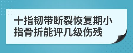 十指韌帶斷裂恢復(fù)期小指骨折能評幾級傷殘