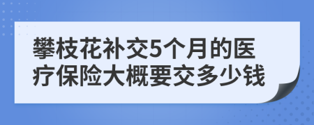 攀枝花補交5個月的醫(yī)療保險大概要交多少錢
