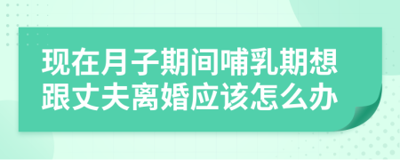 現(xiàn)在月子期間哺乳期想跟丈夫離婚應(yīng)該怎么辦