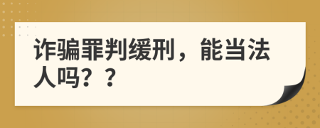 詐騙罪判緩刑，能當(dāng)法人嗎？？