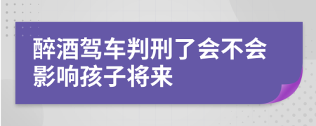 醉酒駕車判刑了會不會影響孩子將來