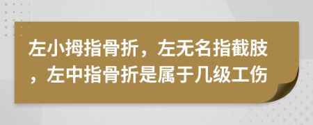 左小拇指骨折，左無名指截肢，左中指骨折是屬于幾級工傷