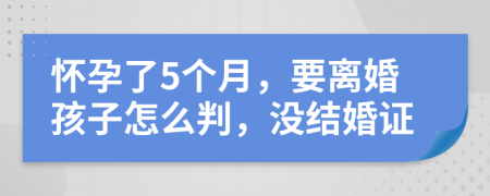 懷孕了5個月，要離婚孩子怎么判，沒結婚證