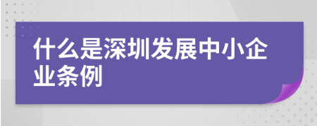 什么是深圳發(fā)展中小企業(yè)條例