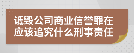 詆毀公司商業(yè)信譽罪在應(yīng)該追究什么刑事責(zé)任