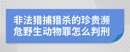 非法獵捕獵殺的珍貴瀕危野生動物罪怎么判刑