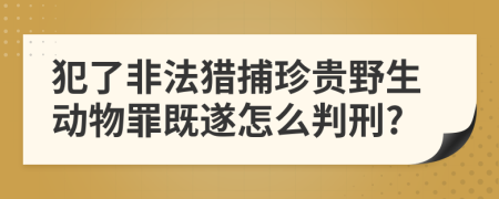 犯了非法獵捕珍貴野生動物罪既遂怎么判刑?