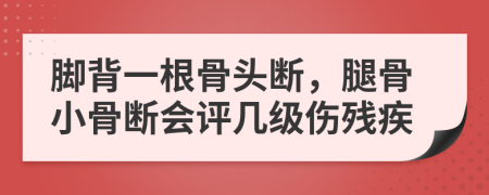 腳背一根骨頭斷，腿骨小骨斷會(huì)評(píng)幾級(jí)傷殘疾