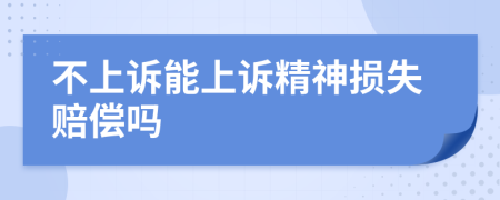 不上訴能上訴精神損失賠償嗎