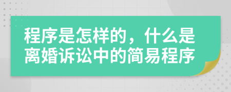 程序是怎樣的，什么是離婚訴訟中的簡易程序