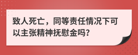 致人死亡，同等責(zé)任情況下可以主張精神撫慰金嗎？