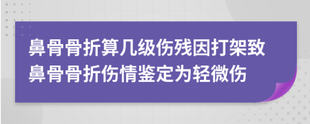 鼻骨骨折算幾級傷殘因打架致鼻骨骨折傷情鑒定為輕微傷