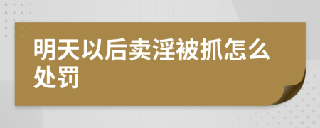 明天以后賣淫被抓怎么處罰